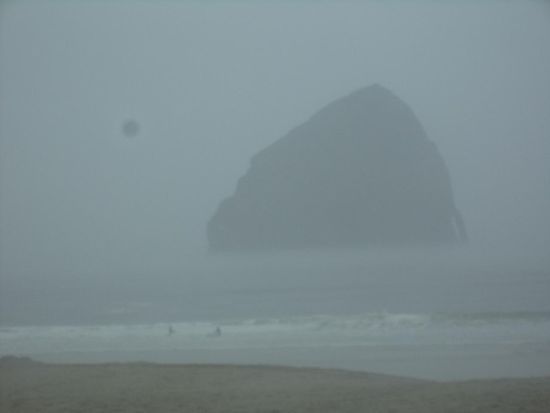 Morgens lag das Ufer noch im Nebel.