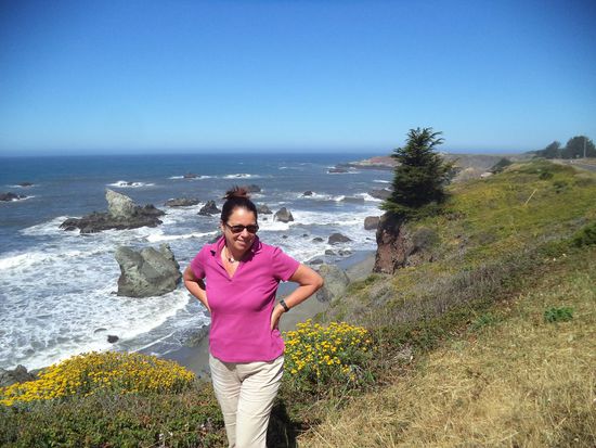 Wir machen einen Spaziergang durch den Park und sehen uns dabei auch die Harbor Seals an, die auf den Felsen liegen.