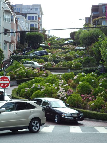 Nach diesem Spiel gings dann weiter rauf zur Lombard Street. Hier sahen wir die Autos die Haarnadelkurven herunter fahren. 1922 wurden diese Kurven angelegt, damit die 27 % Steigung von Autos bewältigt werden kann.