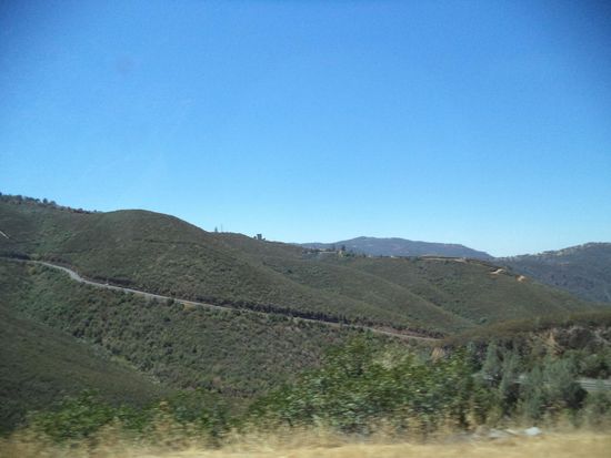 Wir fahren die Passstraße, die durch grüne Wälder führt.