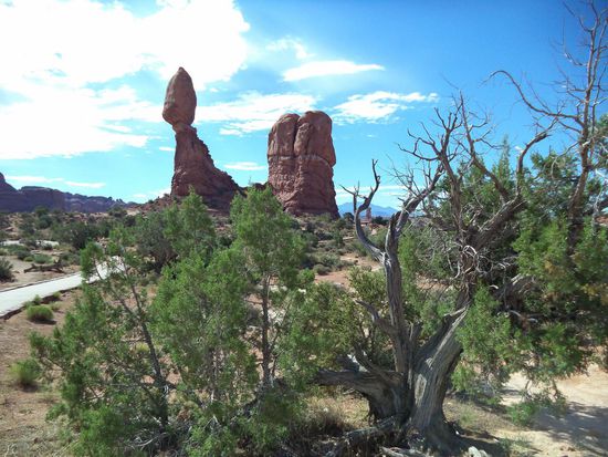 Am balanced rock haben wir angehalten und sind zu diesen Felsen gelaufen. Auf einem schmalen Stück liegt ein großer Stein, sieht sehr wackelig aus, aber er hält. 
Dann fahren wir weiter und biegen zu den windows ab. Hier gibt es wieder einen Parkplatz und mit Mühe und Not finden wir eine Lücke. Wo man hinschaut gibt es Steinbögen. 
Zu den größten Bögen gehen wir dann zu Fuß. Sie sehen wirklich wie Fenster aus.