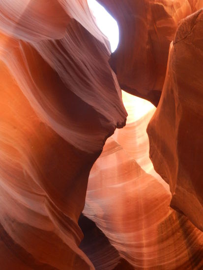 die Fotos sagen alles