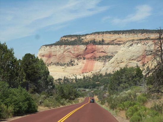 Wir fahren in den Park immer auf einer rot asphaltierten Straße.
