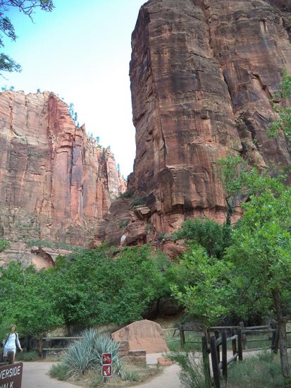 die  hohen Canyonwände