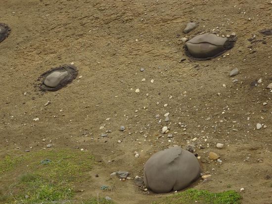 seltsam geformte Steine am Wegesrand