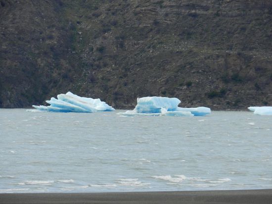 hier schwimmen die kleinen Eisberge
