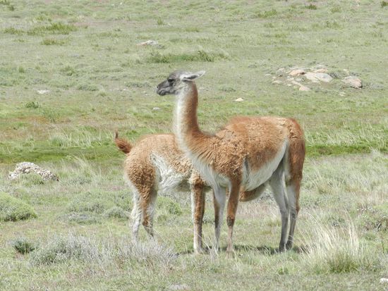 hm das schmeckt lecker