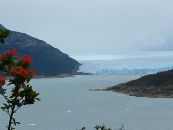 der Gletscher Perito Moreno