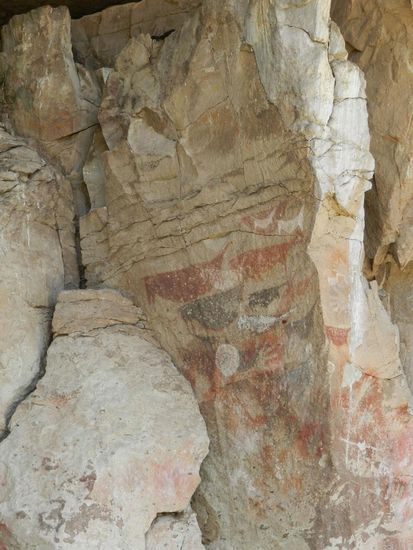 hier sieht man auch  Guanakos