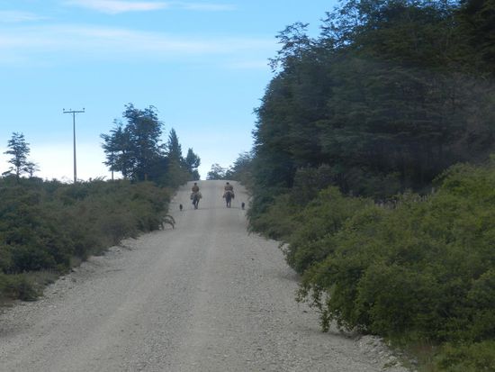 zwei Gauchos mit ihren Hunden auf der Piste