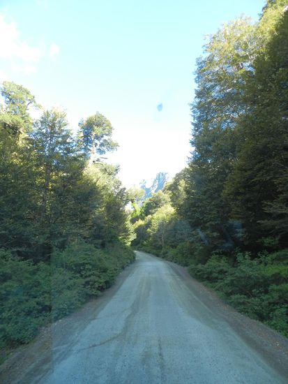 die Piste im kalten Regenwald