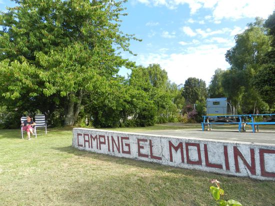 hier auf diesem Campingplatz bleiben wir, sitzen unterm Kirschbaum