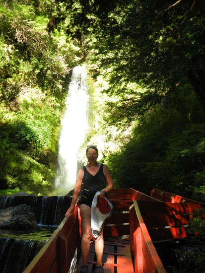 auf Holzstegen gehts durch die grüne Natur