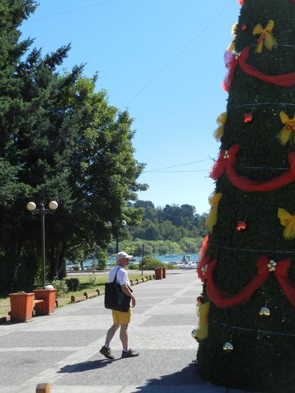 der große Weihnachtsbaum von Pucon