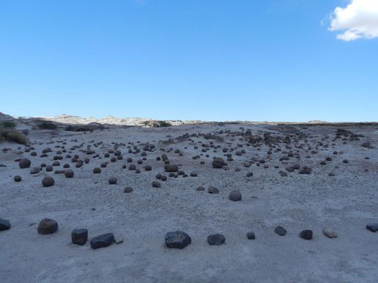 Auf einen Feld lagen viele Kugeln, die sich aus der Erde herausgearbeitet haben.