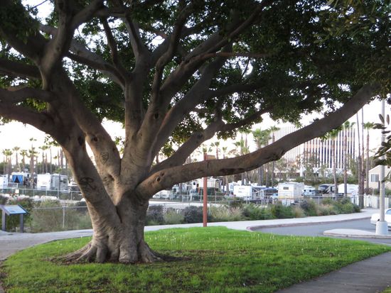 der Blick auf unseren Stellplatz direkt am Ufer