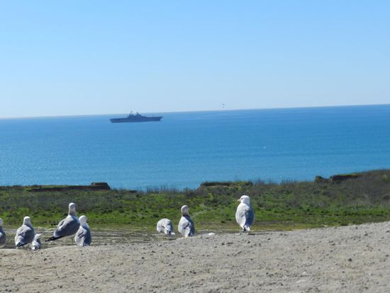 Von einer Restarea aus hat man einen Blick auf ein Kriegsschiff, zwei Hubschrauber fliegen immer zwischen dem Ufer und dem Schiff hin und her und transportieren irgendwelche Waren.
