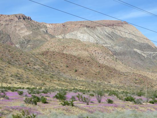 So gegen 15 Uhr erreichen wir Bahia de Los Angelos und vor uns liegt der tiefblaue Pacific.