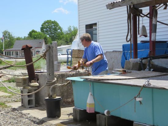 und in diesem Becken wurden die Hummer gekochte
