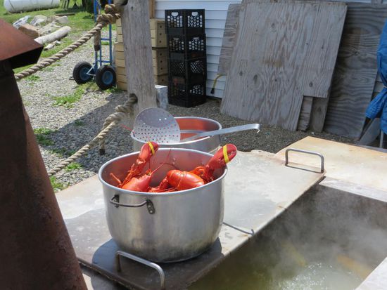 so appetitlich sahen sie dann aus