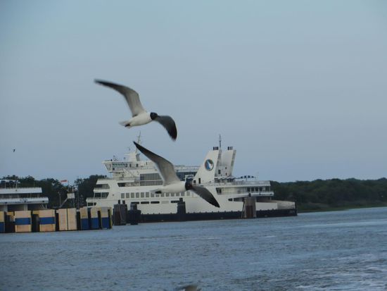 Pünktlich um 18 Uhr gings los und wir waren knapp anderthalb Stunden auf dem Wasser.