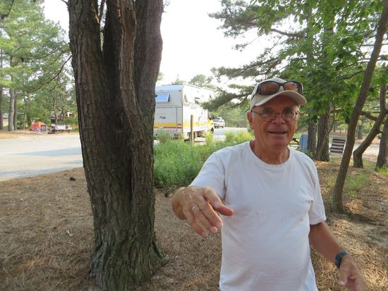 wir gehen in den Park