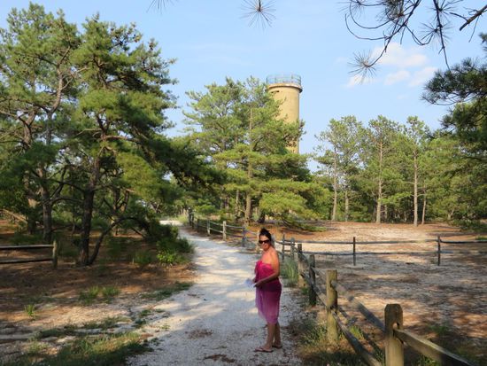 Wir gehen am Wachturm vorbei durch den Wald zurück zu unserem Wagen.