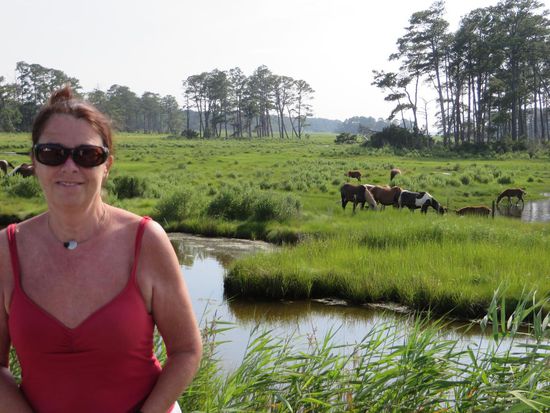 die Ponies hinter mir