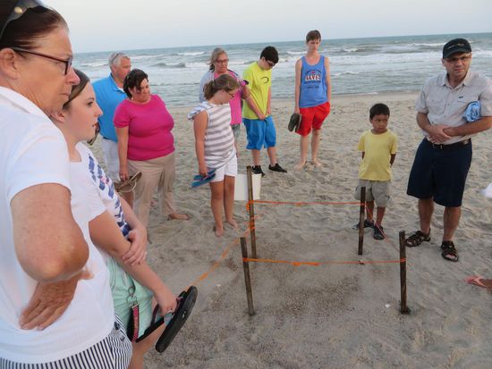 so werden die Gelege gekennzeichnet