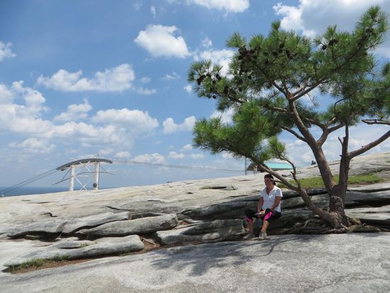 ein kleines Schattenplätzchen