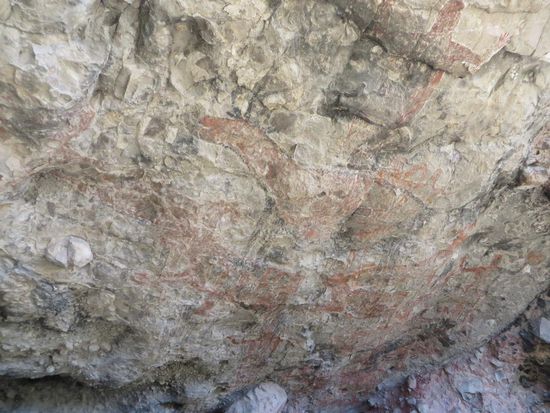 Deers sind hier zu erkennen