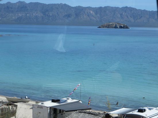 die Wohnis am Strand