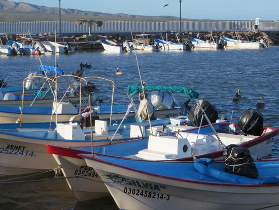 Wir gingen weiter an der Strandpromenade 
entlang am Fischerhafen vorbei zurück zum Campingplatz.