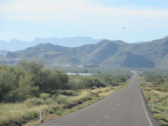 die hervorragende Mex 1