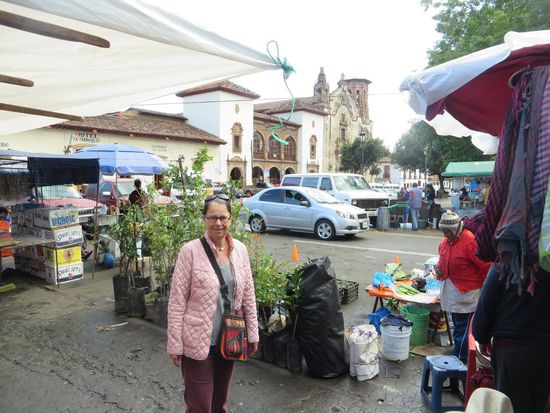 im Hintergrund die Bibliothek