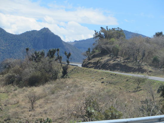 es steigt immer weiter