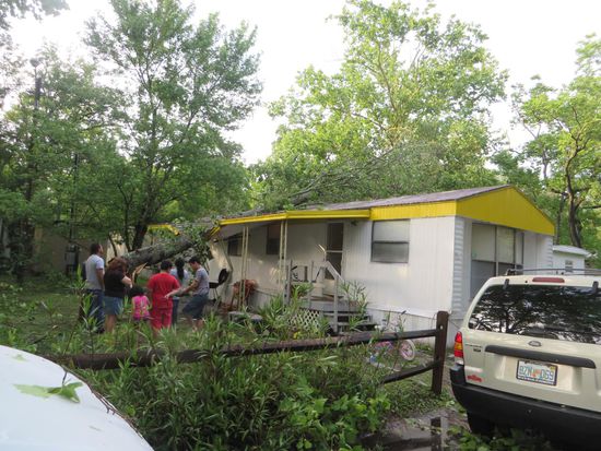 der Baum ist runtergekommen