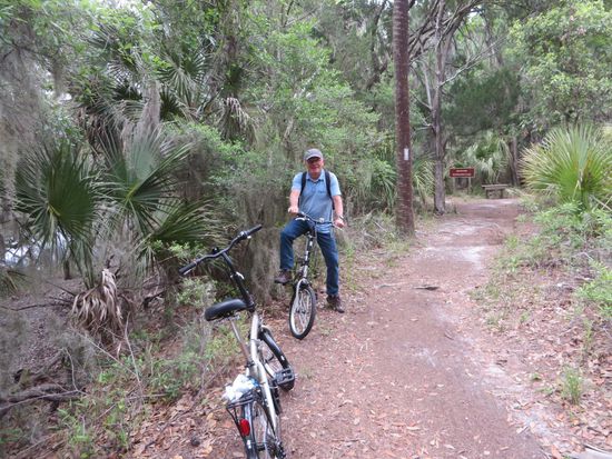 der schöne Fahrradweg im Park