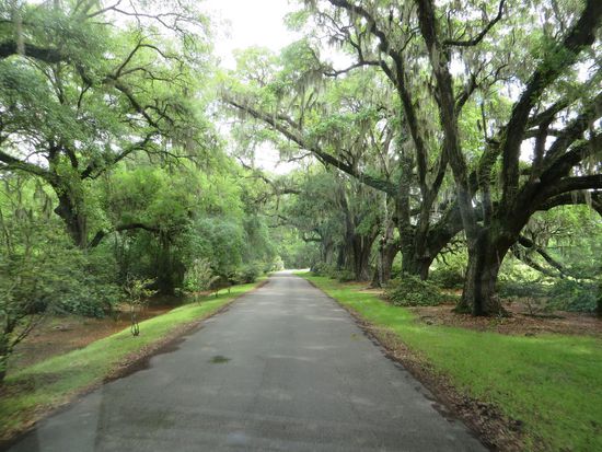die Einfahrt zur Plantage