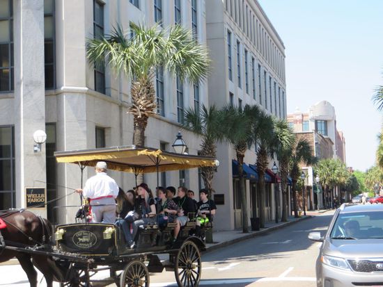 Man kann Kutschfahrten durch die Stadt unternehmen, wir haben aber die armen Pferde schonen wollen, die so viele Leute ziehen müssen.