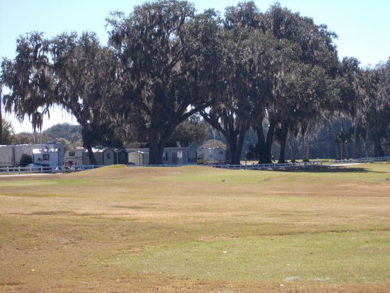hier stehen wir am Golfplatz, wer gute Augen hat, kann sogar unser Auto unter den Bäumen erkennen