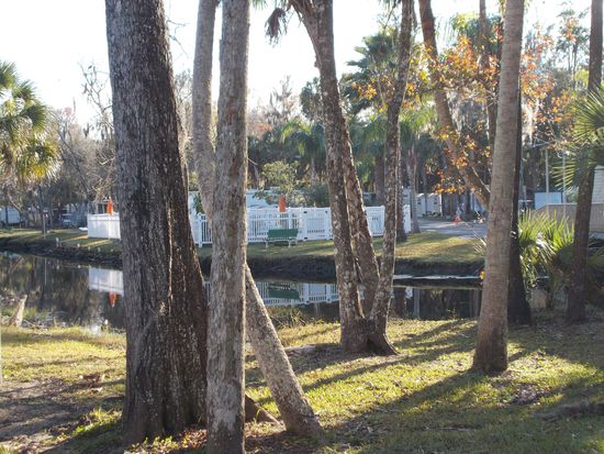 Homosassa - unser kleiner See