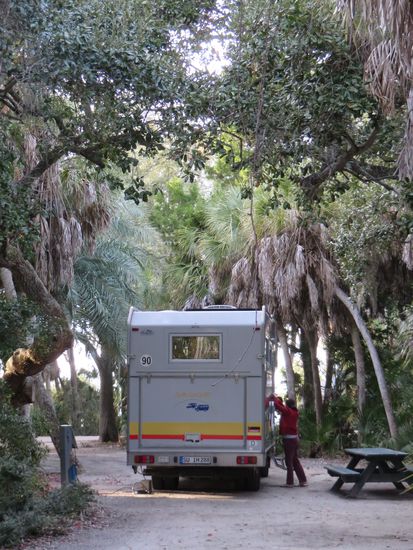 Unser Stellplatz unter großen Bäumen.