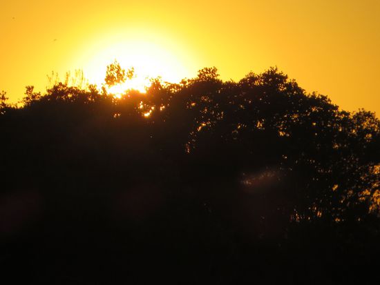  ist das nicht ein Sonnenuntergang !!!