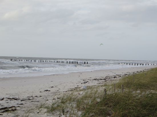 Dann sind wir noch zum Strand gefahren. Es gab immer kleine Stichstraßen, von denen man aus an den Strand gelangte. Das Meer war entsprechend des Windes ziemlich aufgewühlt und es war auch recht kalt. So haben wir nur eine kleine Stippvisite gemacht und sind dann durch die 5th Avenue, der Einkaufs- Ess- und Flaniermeile gefahren.