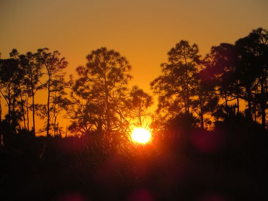 Am Abend gab es dann einen Sonnenuntergang in den Everglades kostenfrei dazu.