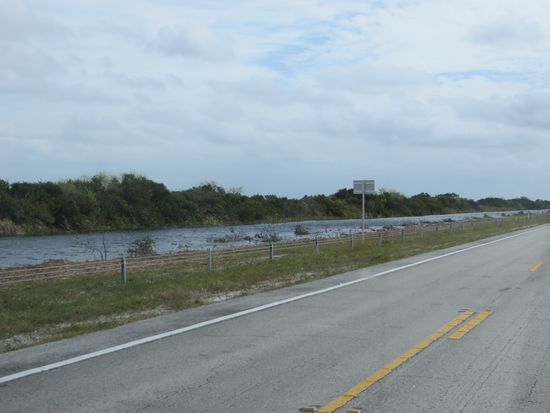 rechts und links Wasser - wir fahren durch die Everglades