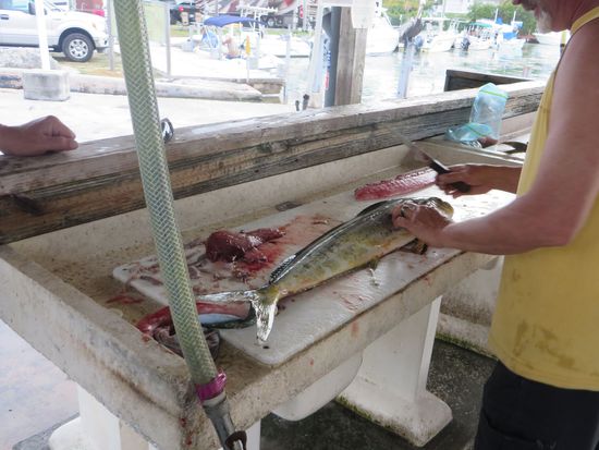 Auch hier gab es Angler, die ihren Fang zerlegten, die Fische waren ganz schön groß.  Da wurde heute Abend sicher der Fisch gegrillt.