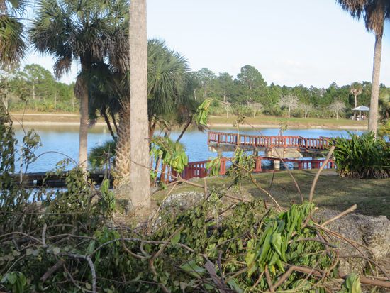 der kleine See in unserem Park