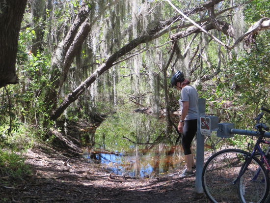 mitten unter den Mücken